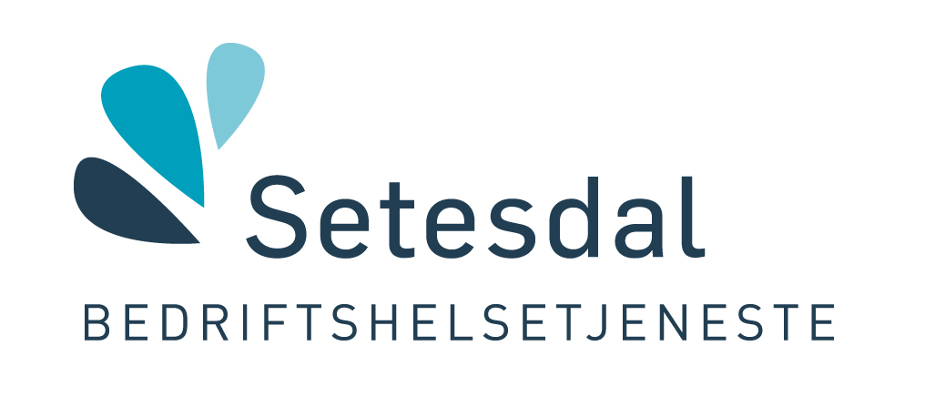 Setesdal bedriftshelsetjeneste